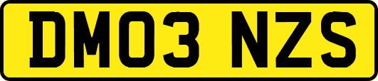 DM03NZS