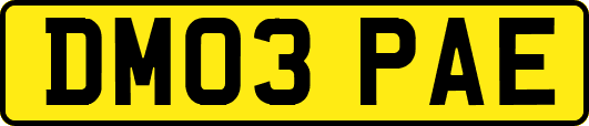 DM03PAE