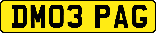 DM03PAG