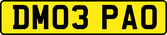DM03PAO