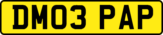 DM03PAP