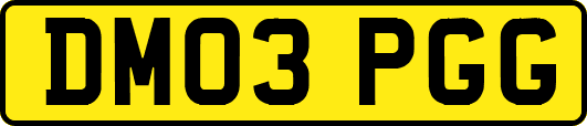 DM03PGG