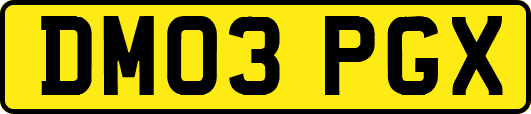 DM03PGX