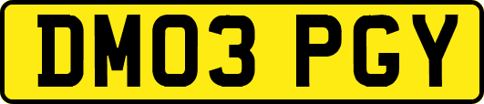 DM03PGY