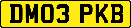 DM03PKB