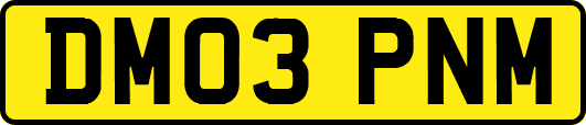DM03PNM