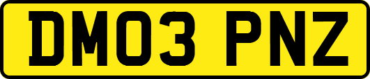 DM03PNZ
