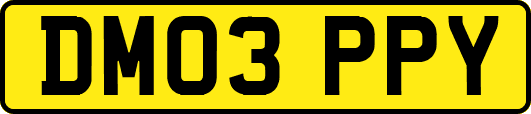 DM03PPY