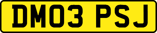 DM03PSJ