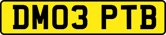 DM03PTB
