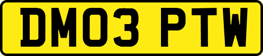 DM03PTW