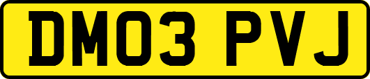 DM03PVJ