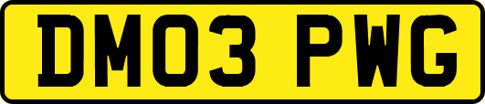 DM03PWG
