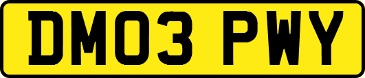 DM03PWY