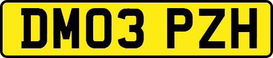 DM03PZH