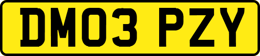 DM03PZY