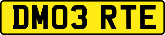 DM03RTE