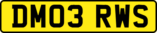 DM03RWS