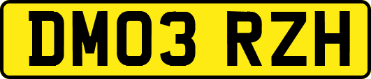 DM03RZH