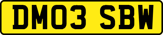 DM03SBW