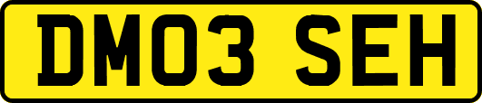 DM03SEH