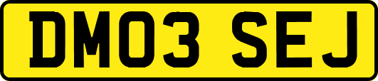 DM03SEJ