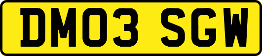 DM03SGW