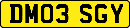 DM03SGY