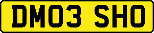 DM03SHO