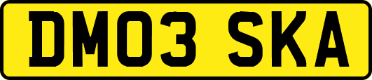 DM03SKA