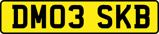 DM03SKB