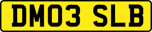 DM03SLB
