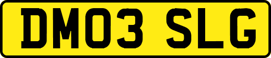 DM03SLG