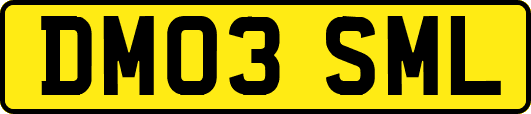 DM03SML