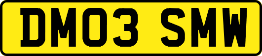 DM03SMW