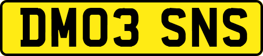 DM03SNS