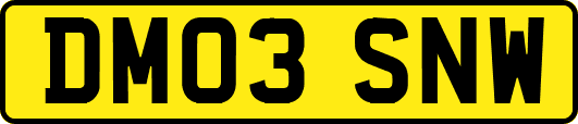 DM03SNW