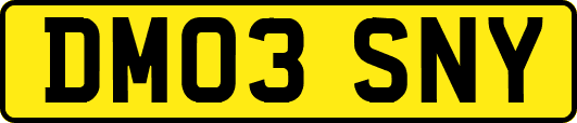DM03SNY