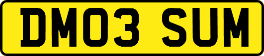 DM03SUM