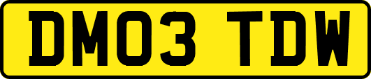 DM03TDW