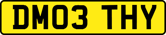 DM03THY