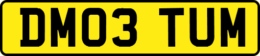 DM03TUM