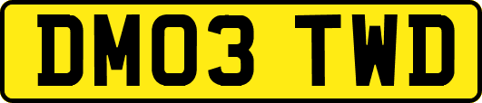 DM03TWD