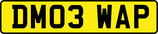 DM03WAP