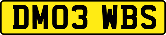 DM03WBS