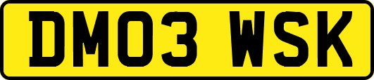 DM03WSK