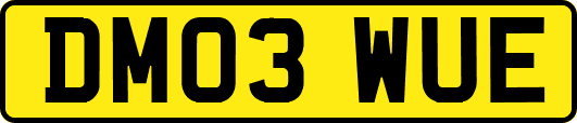 DM03WUE