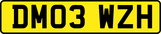 DM03WZH