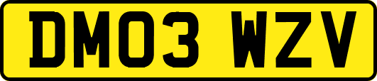 DM03WZV