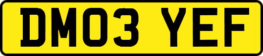 DM03YEF